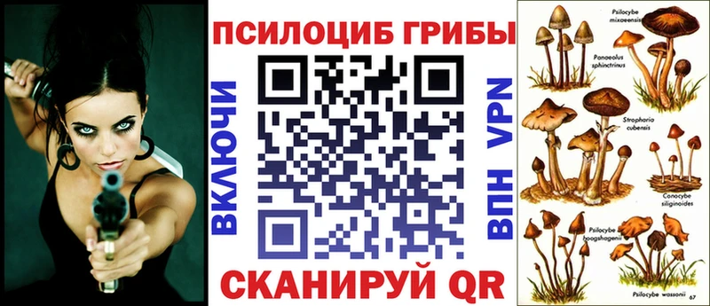 Псилоцибиновые грибы прущие грибы  Чита 